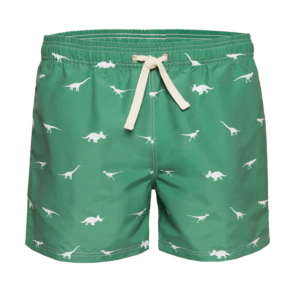 Dinosaur Animal Green Men's Swim Trunks