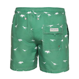 Dinosaur Animal Green Men's Swim Trunks