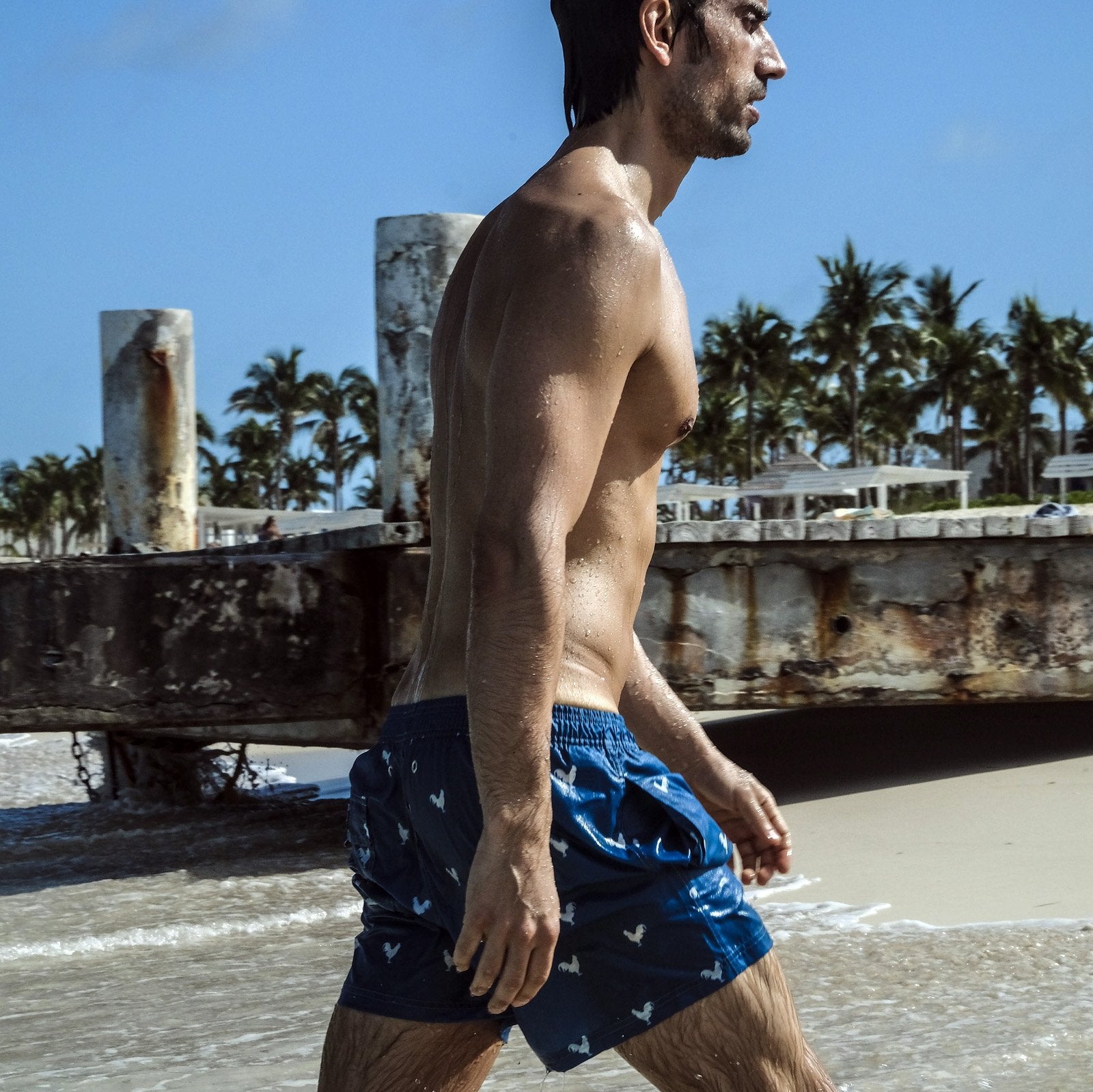 Rooster on Navy Blue Men's Swim Trunks