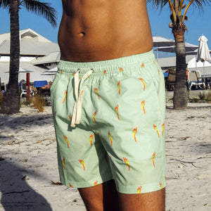 Parrot Animal Men's Swim Trunks