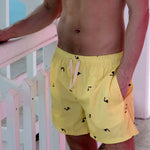 Toucan Animal Men's Swim Trunks