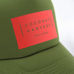 Coconut Harvest